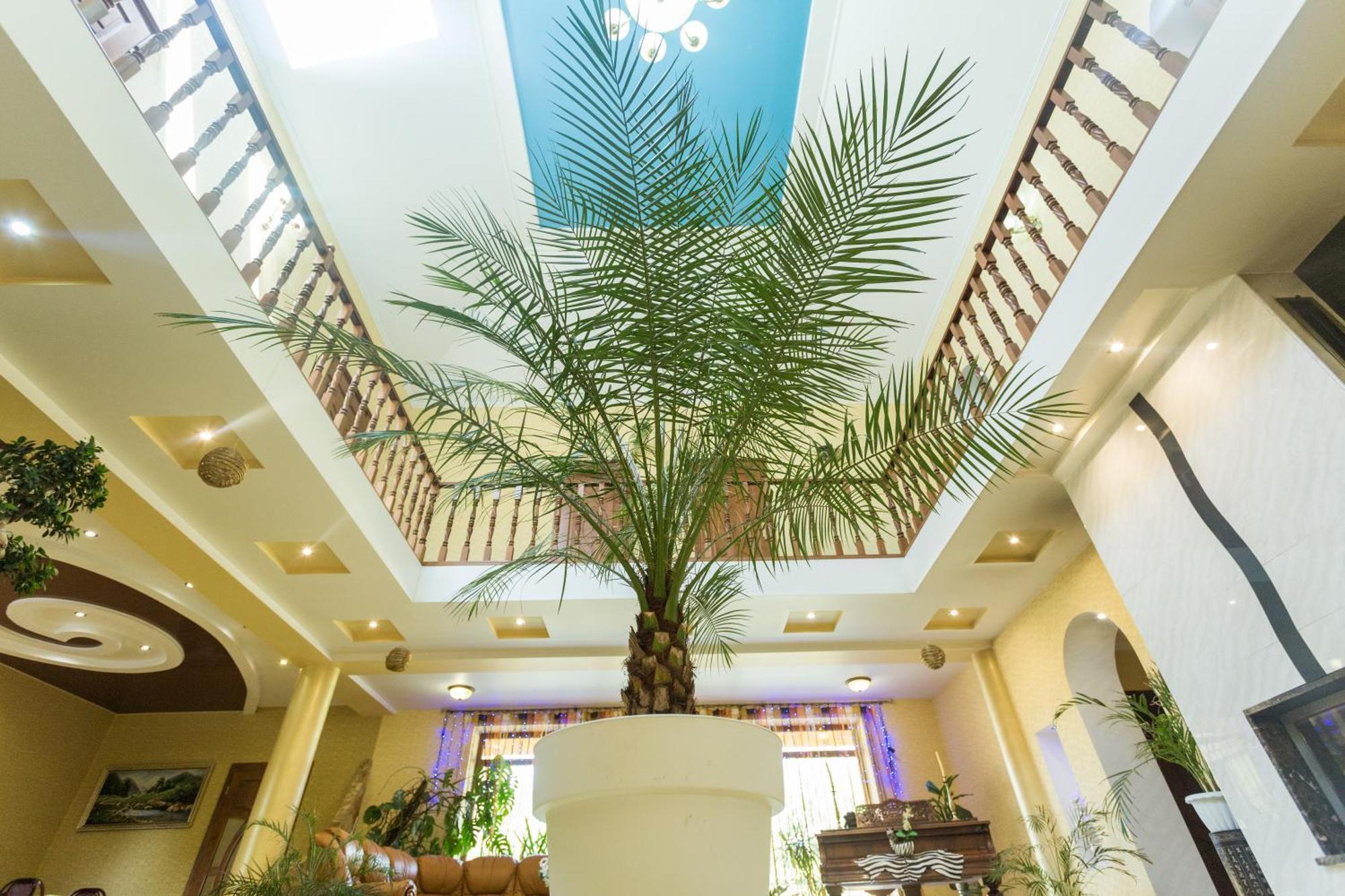 Villa Fenix Берегове Екстер'єр фото