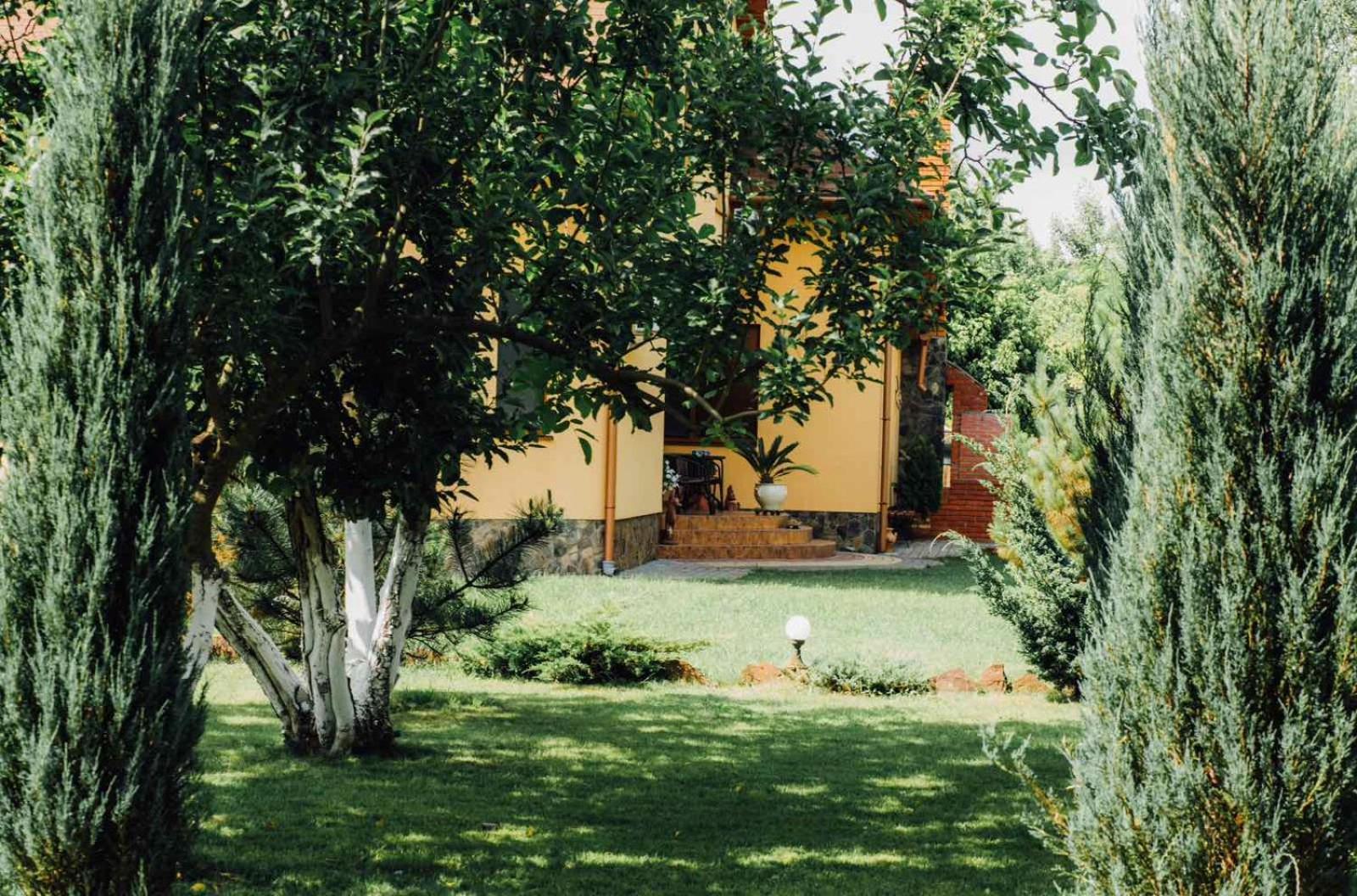 Villa Fenix Берегове Екстер'єр фото